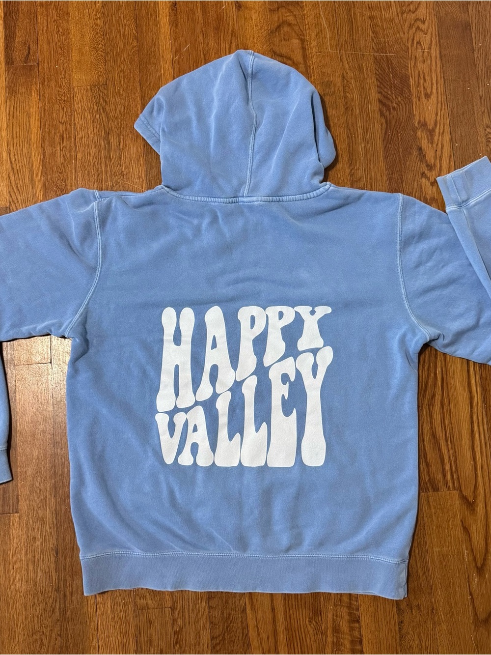 Penn state light blue hoodie